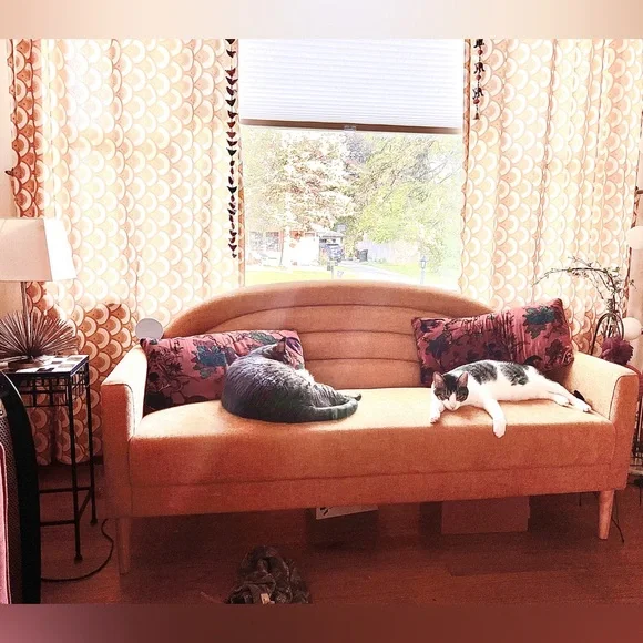 LIVE SHOW NOTIFICATION! - Picture 10 of 16